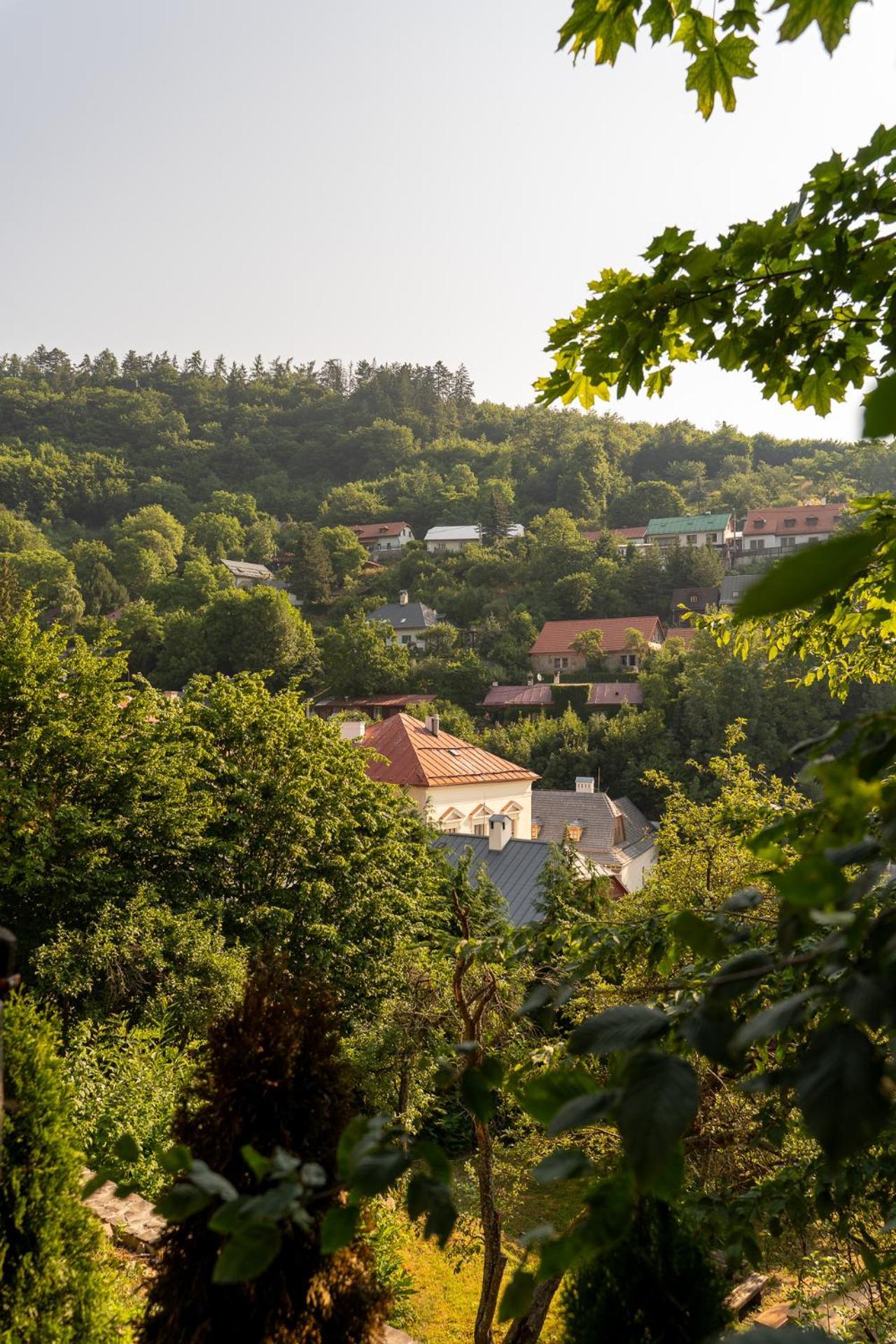 Penzion Prijemny Oddych Banská Štiavnica Eksteriør billede